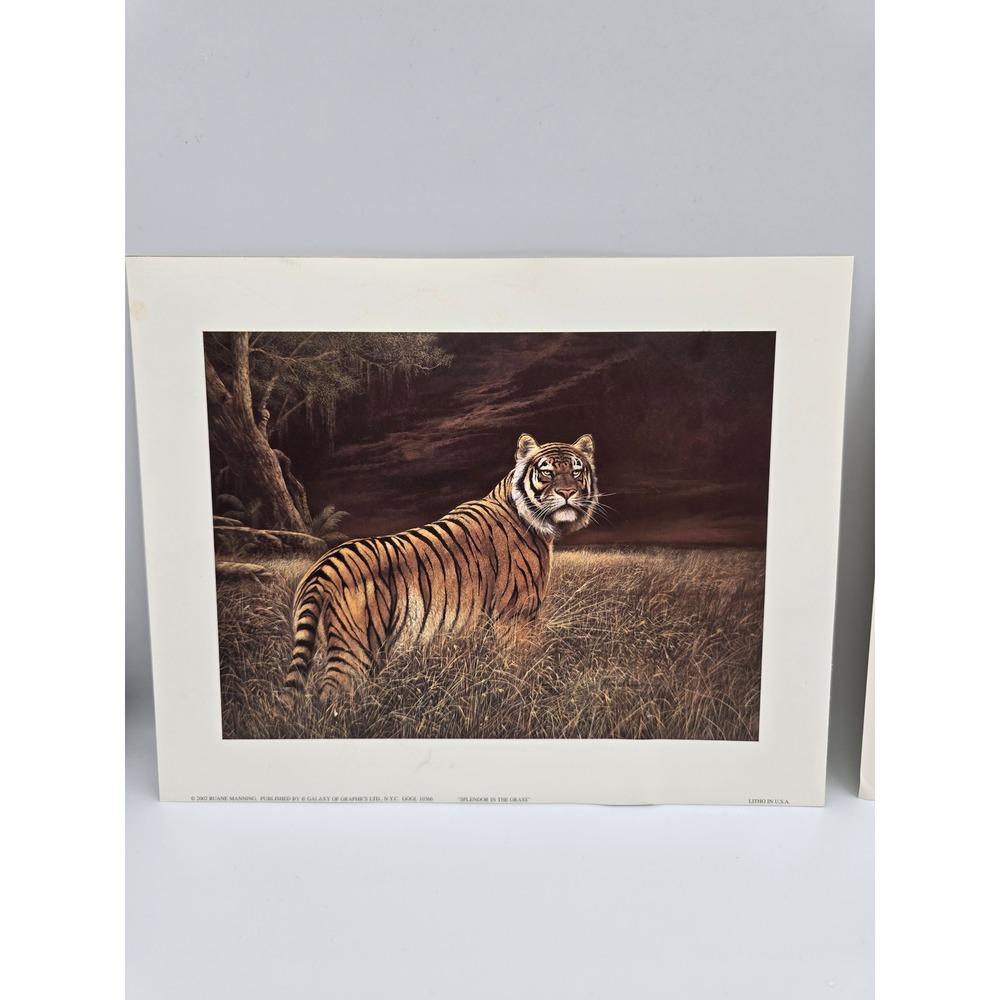 Ruane Manning Wildlife Art Prints Lion Tiger‎ Set Litho USA - Picture 3 of 11
